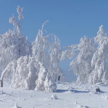 Hildfelder Stuebchen Πανσιόν 3*