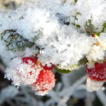 Hildfelder Stübchen Pensión
