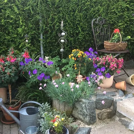 Pensión Hildfelder Stübchen Winterberg