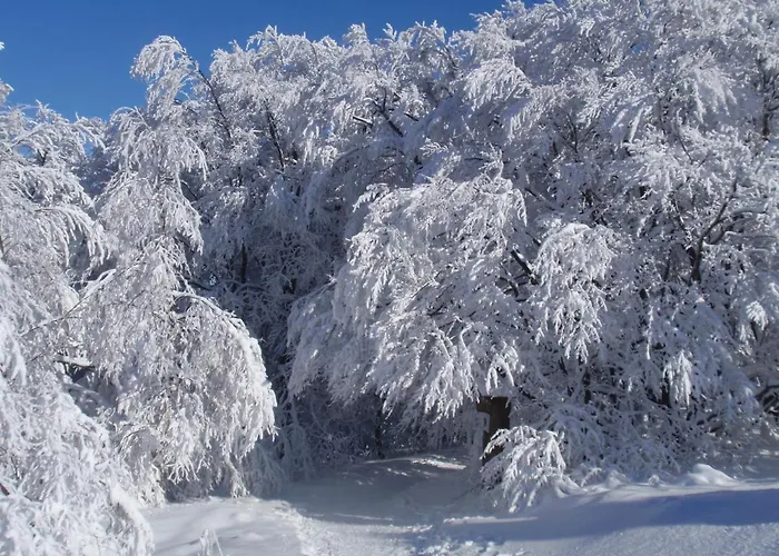 بيت ضيافة Hildfelder Stuebchen