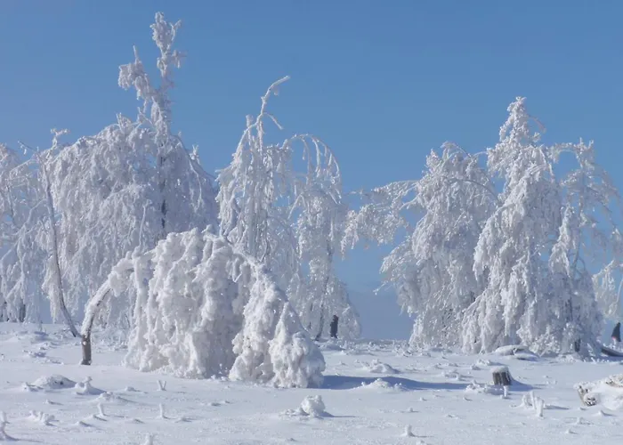 Hildfelder Stuebchen Affittacamere 3*