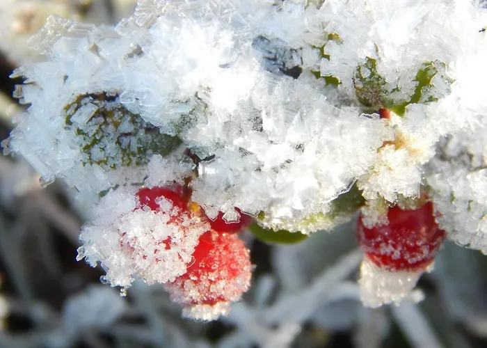 Hildfelder Stuebchen ゲストハウス