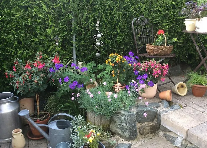 Affittacamere Hildfelder Stuebchen Winterberg